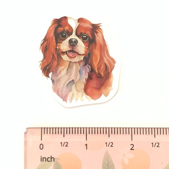Spaniel Vinyl Sticker - Picture 2 of 2